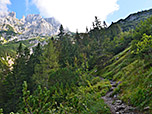 Anstieg über den Waldpfad