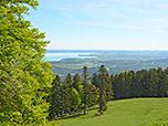 Blick zum Chiemsee...