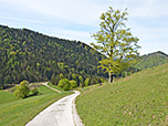 ...und wandern über einen breiten Fahrweg hinab...