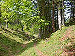 ...und wandern durch einen Graben...