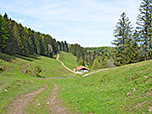 ...Richtung Herrenalm