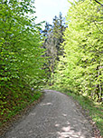 ...und treffen auf einen breiten Weg