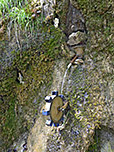 Kleines Wasserrad am Wegesrand