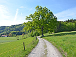...auf den Reifenberg zu