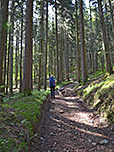 Der Karrenweg...
