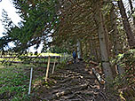 ...nah der Piste weiter bergauf
