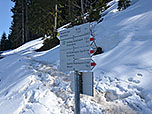 Unser nächstes Ziel wird die Haslacher Alpe sein