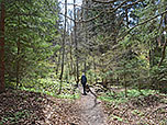 ...durch den Wald bergauf...