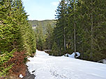 ...und folgen der guten Beschilderung in Richtung Haslacher Alpe