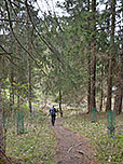 Wir bleiben am Waldpfad, ...