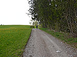 ...folgen wir dem breiten Weg...