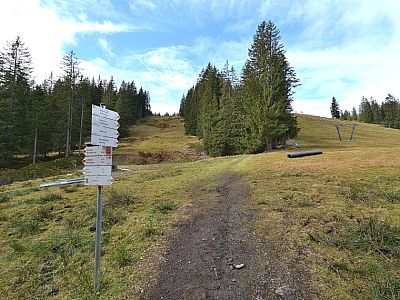 Nach dem Lifthäuschen beginnt links der Piste der Aufstieg