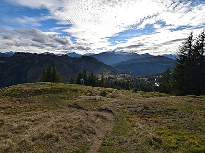 Über die Almwiesen...
