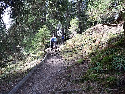 Kurz geht es ein Stück steil durch den Wald