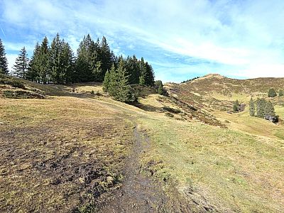 Rechts ist der höchste Punkt, das Riedberger Horn bereits gut zu sehen 