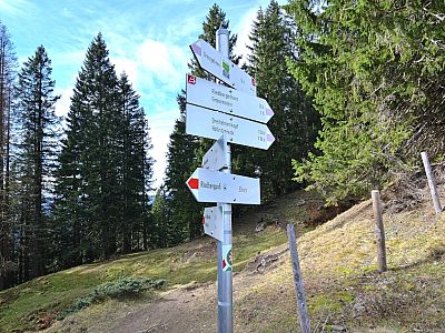 Die erste halbe Stunde haben wir bereits geschafft