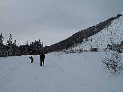 Wir queren den Riesenberg...