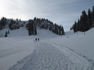 Kurz vor der Riesenhütte