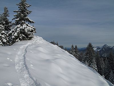 Der Rücken wird schmäler