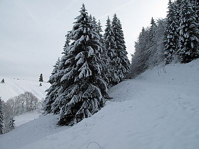 Nach einem steilen Anstieg...
