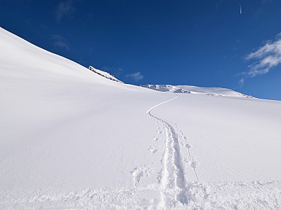Die Spur zieht nun nach Osten...