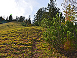 ...und folgen dem Gratverlauf Richtung Wasserspitz