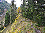 ...erreichen wir in Kürze den Einstieg zur Rinnerspitz