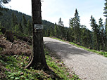 ...kreuzen wir letztmalig den Forstweg