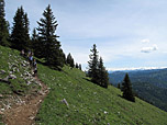 Rechter Hand blicken wir bis zum Alpenhauptkamm