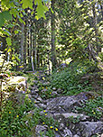 Über einen steinigen Waldweg gewinnen wir zügig an Höhe