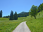 In morderater Steigung wandern wir der Sieblialm entgegen