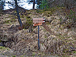 ...zum Rittner Horn ein