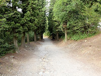 Wir wandern auf der Straße ein Stück bergab nach Norden