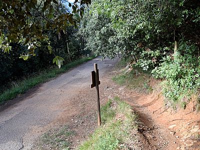 ... der uns wieder zur Straße führt
