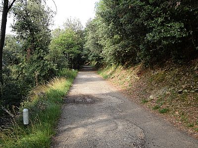 Wir folgen dem Straßenverlauf für ein paar Meter...