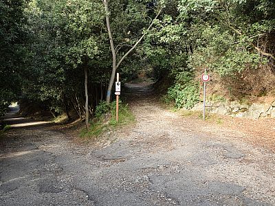 ... und biegen dann hier leicht rechts ab.