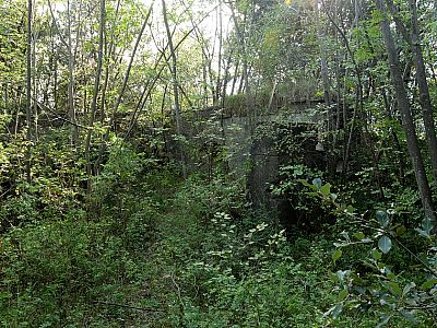 ... im Norden des Monte Brione nicht mehr zu sehen