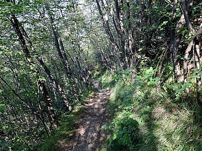 Pfade führen uns im Norden und Westen ...