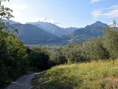 Schließlich erreichen wir einen Forstweg
