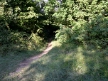 ... des Monte Brione wieder zu Tal