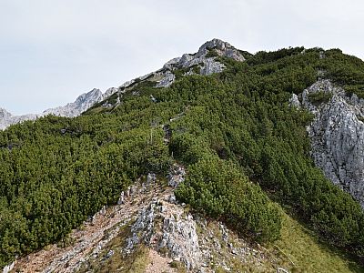 Latschen und felsige Aufschwünge am Westgrat