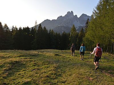 Über einen Pfad geht es ein wenig bergab... 