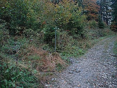 Gleich nochmal links...