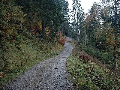 Ein paar Meter bergauf...