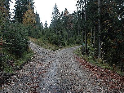 Die Abzweigung links