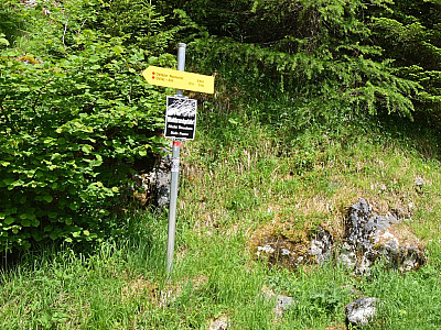 Hier biegen wir links ab...