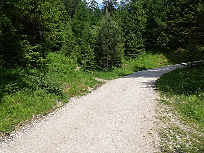 Kurz queren wir die Straße, bevor es auf dem Abkürzer weitergeht