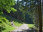 ...erreichen wir einen Forstweg