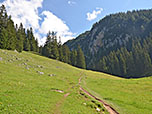 Über freie Wiesen wandern wir nordwärts