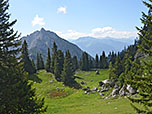 Blick zum Ebner Hoch